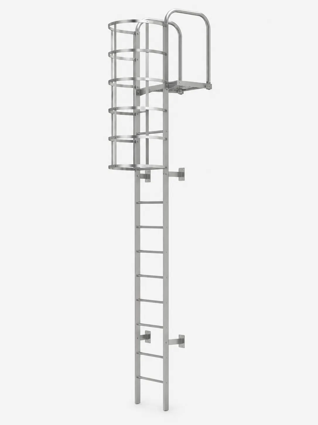 Caged Roof Access Ladder