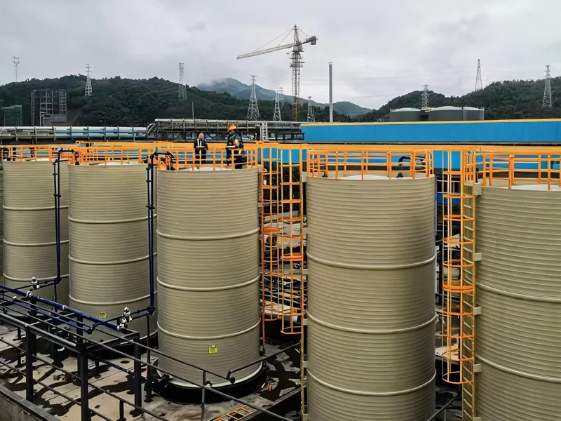 Caged fixed ladder access on industrial storage tanks